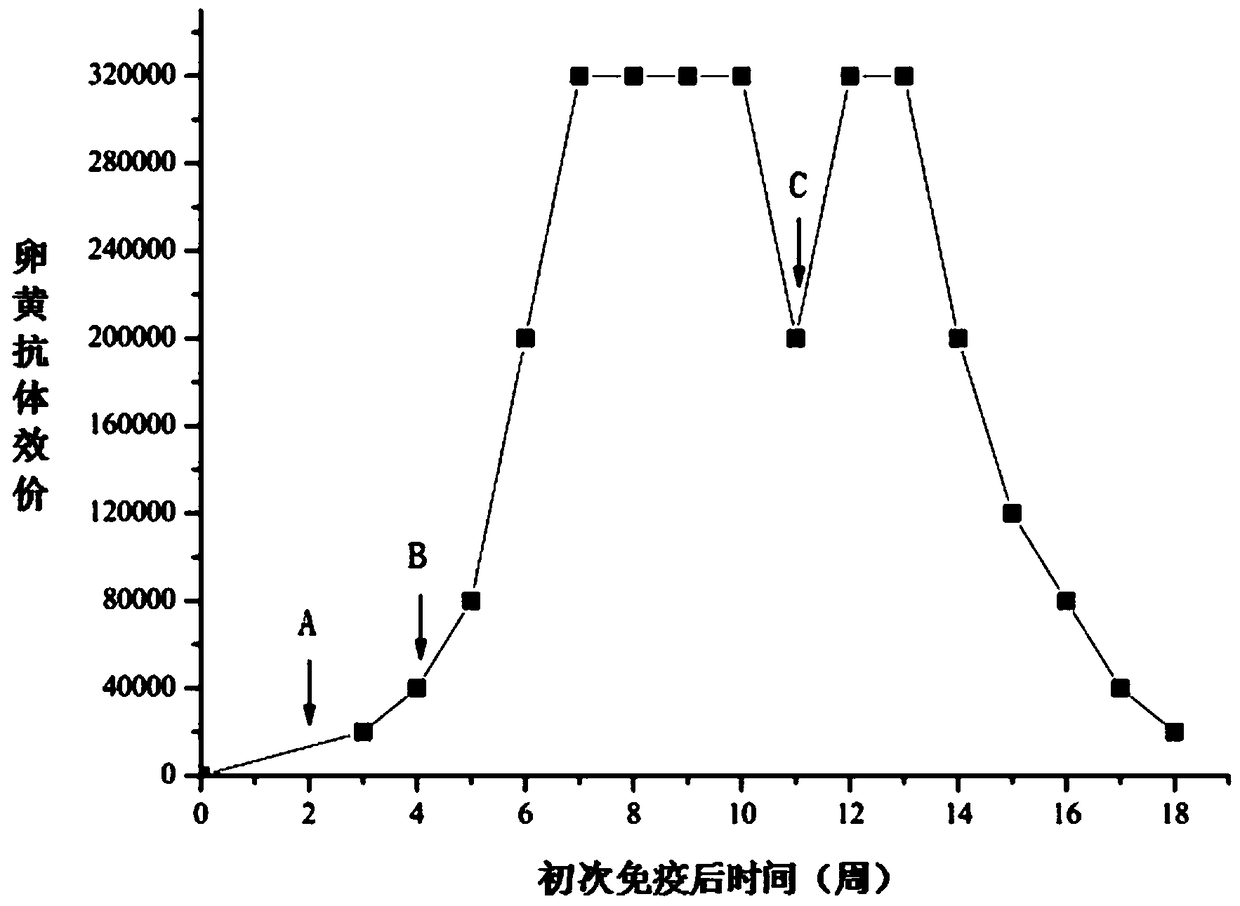 Anti-vibrio brilliant yolk antibody and preparation method thereof