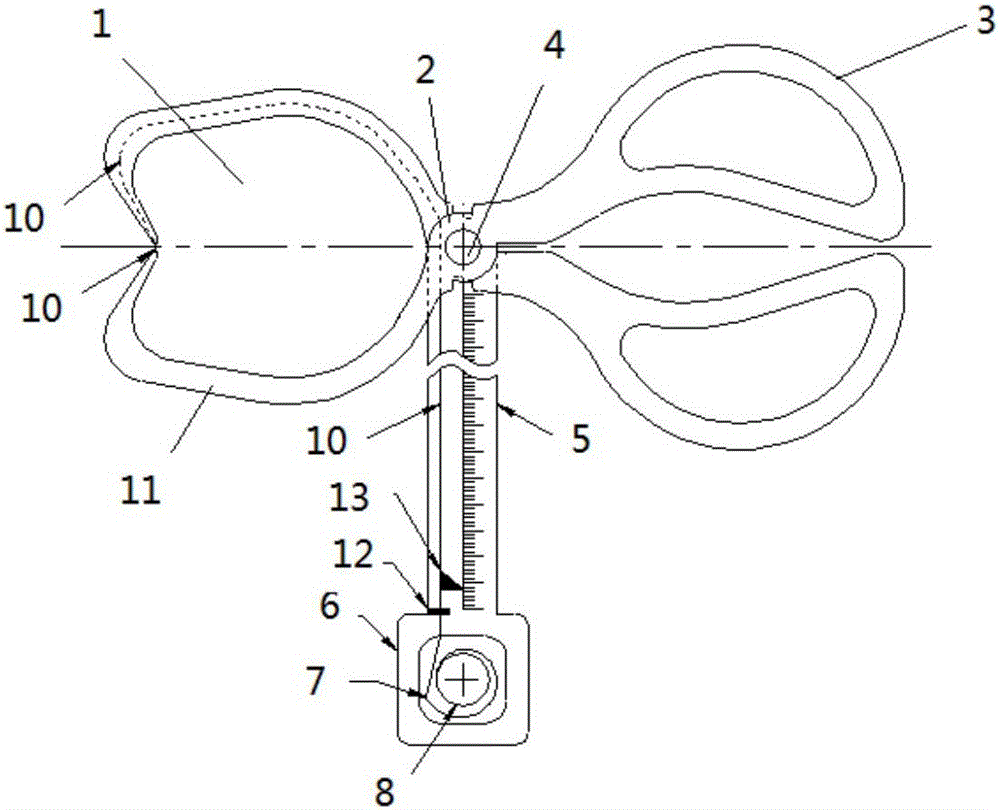 Perimeter measuring scale and measuring method thereof