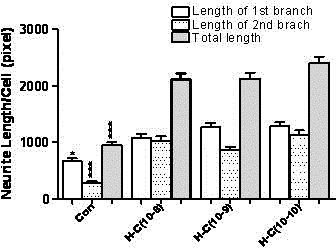 Application of A-type kreotoxin heavy chains to exciting regeneration of neurite