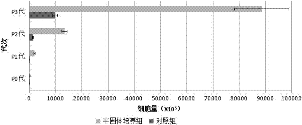 Preparation method of master cell bank for umbilical cord derived mesenchymal stem cells in perinatal period