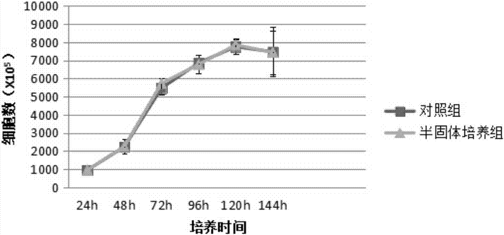 Preparation method of master cell bank for umbilical cord derived mesenchymal stem cells in perinatal period