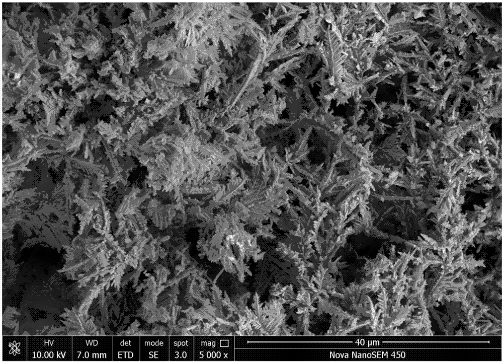 Method for preparing super-hydrophobic copper coating on surface of aluminum alloy