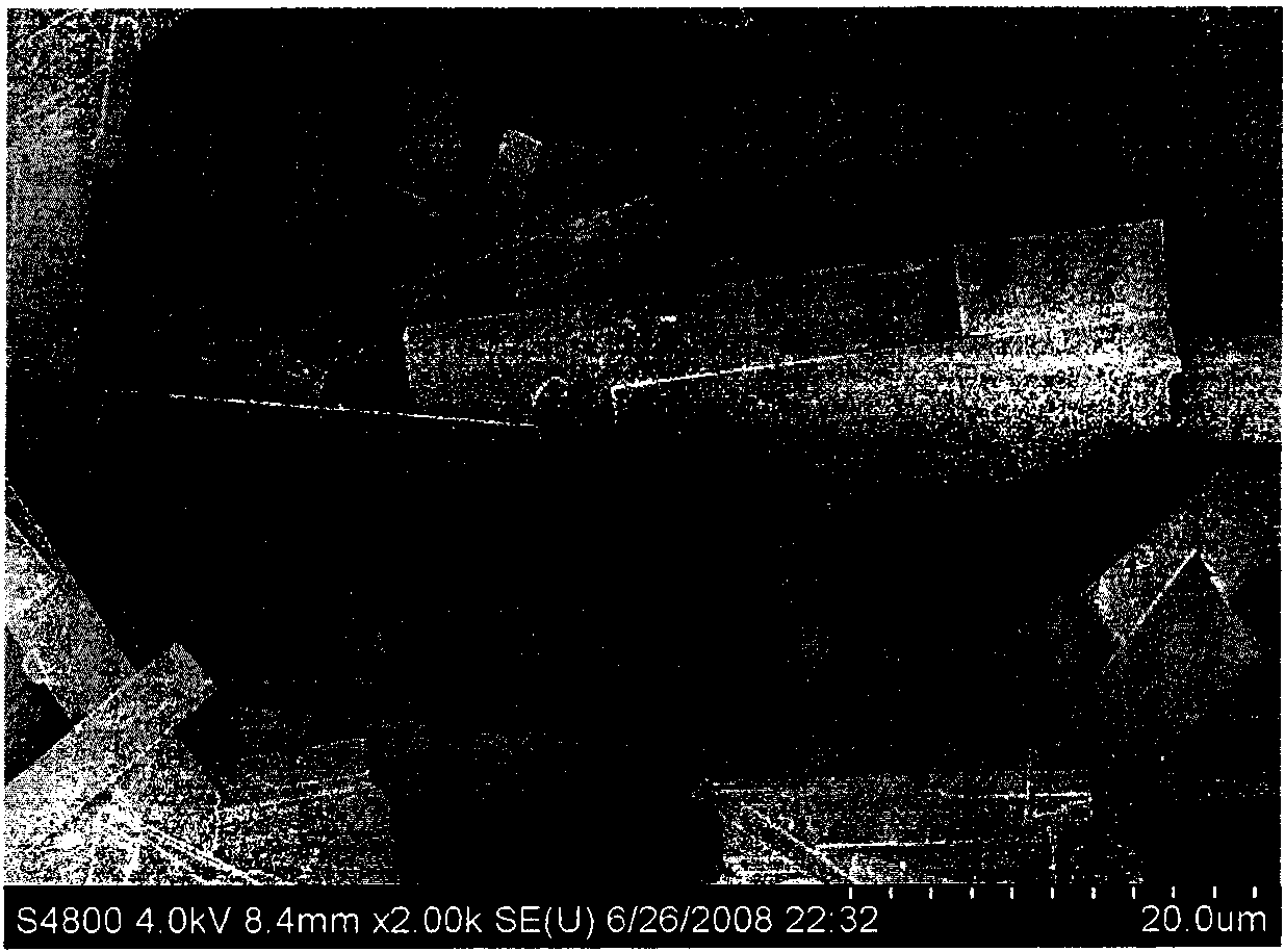 Preparation method of porous PbS nano sheet