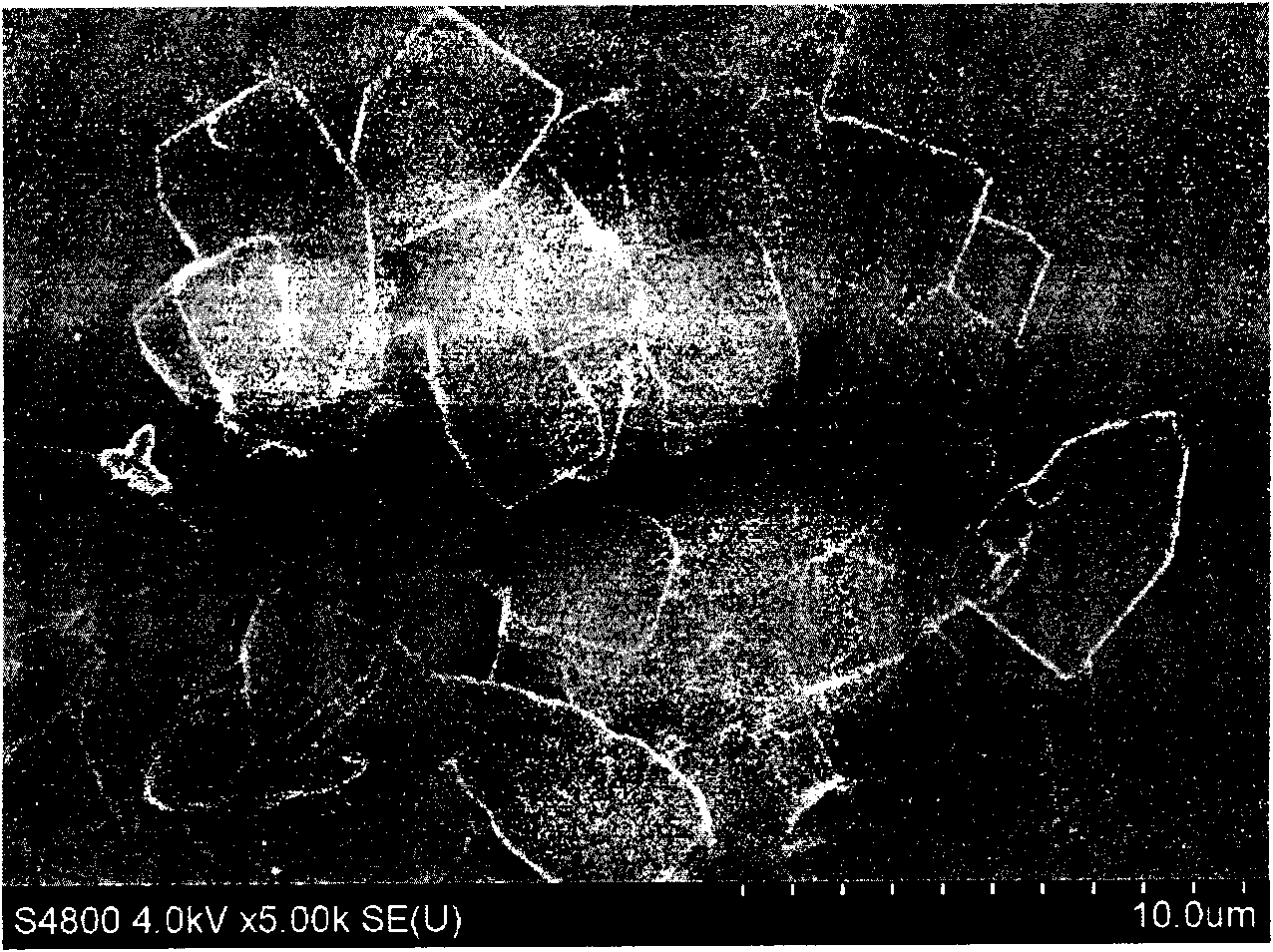 Preparation method of porous PbS nano sheet