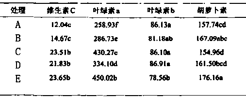 Light conversion film suitable for vegetable greenhouse planting and preparation method thereof