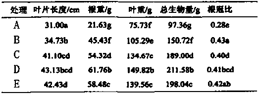 Light conversion film suitable for vegetable greenhouse planting and preparation method thereof