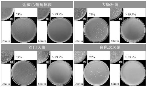 Super-hydrophobic metal/ceramic composite coating with antibacterial property and preparation method thereof