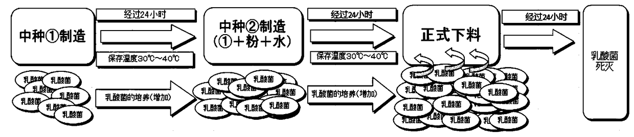 Application of novel lactobacillus fermentum to food fields