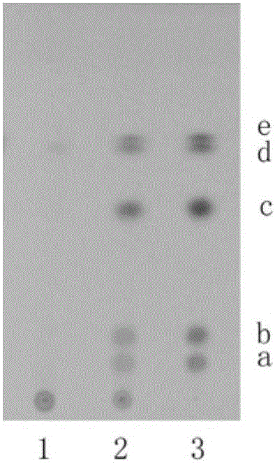 A method for rapid screening of 5 illegally added chemical substances in Xiaohuoluo Pills