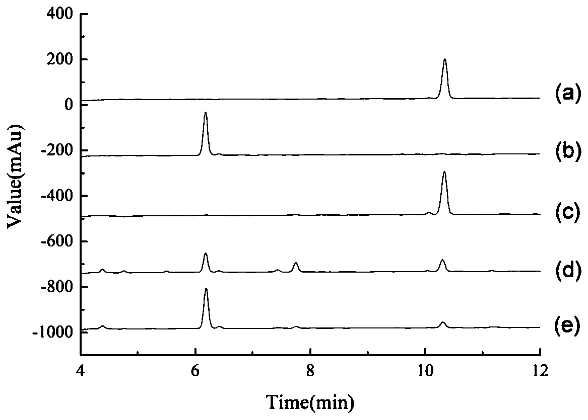 Method for preparing Rebaudioside E through enzyme method