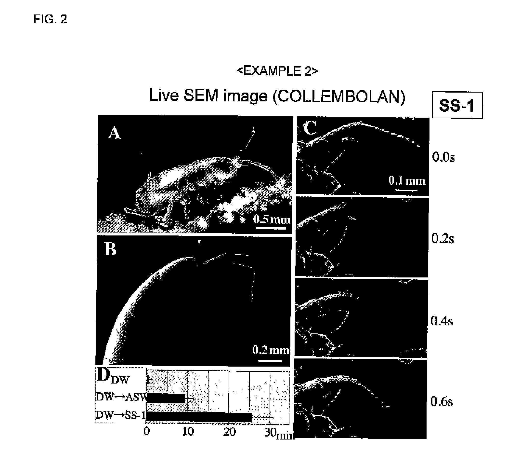 Electron microscopic observation method for observing biological sample in shape as it is, and composition for evaporation suppression under vacuum, scanning electron microscope, and transmission electron microscope used in the method