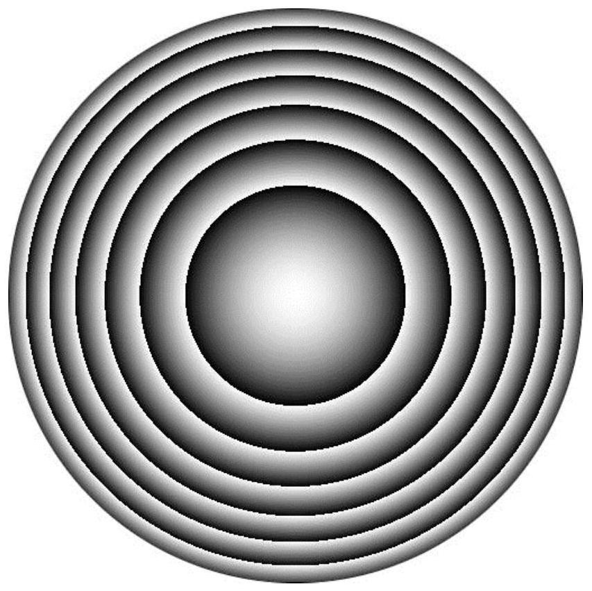 A Single Polarization Phase Modulation Optical Device