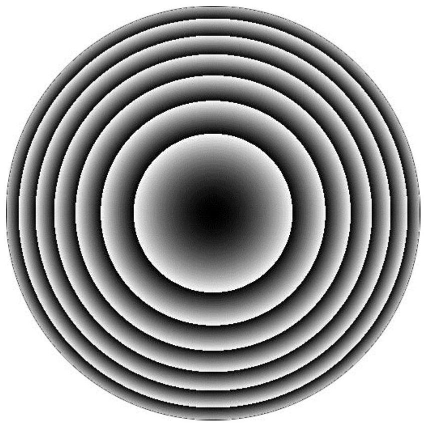 A Single Polarization Phase Modulation Optical Device