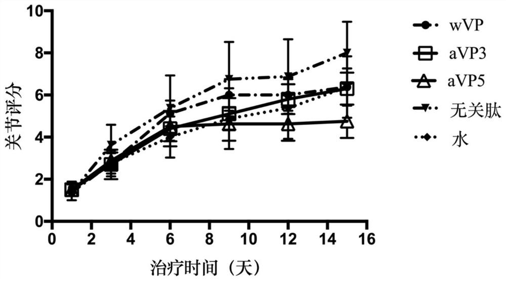 Citrullinated antigen modified peptide and its application