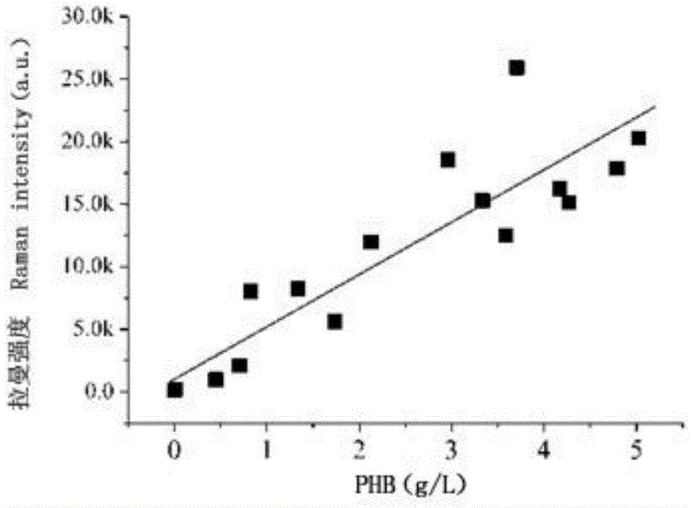 Method of screening strains for producing microorganism plastics