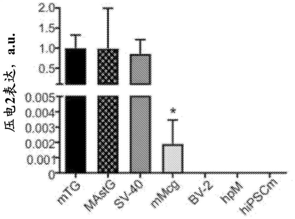 Piezoelectric agonists to prevent or reverse abnormal amyloid deposition