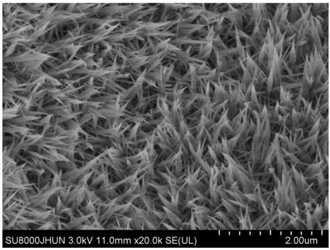 Preparation method of cobalt sulfide, product of preparation method and application