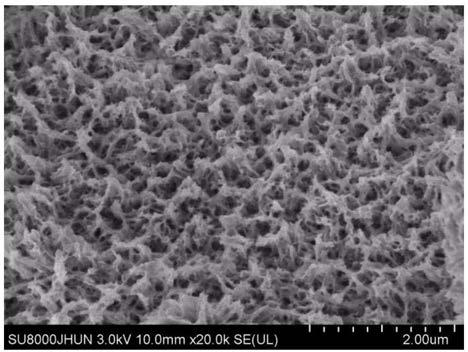 Preparation method of cobalt sulfide, product of preparation method and application