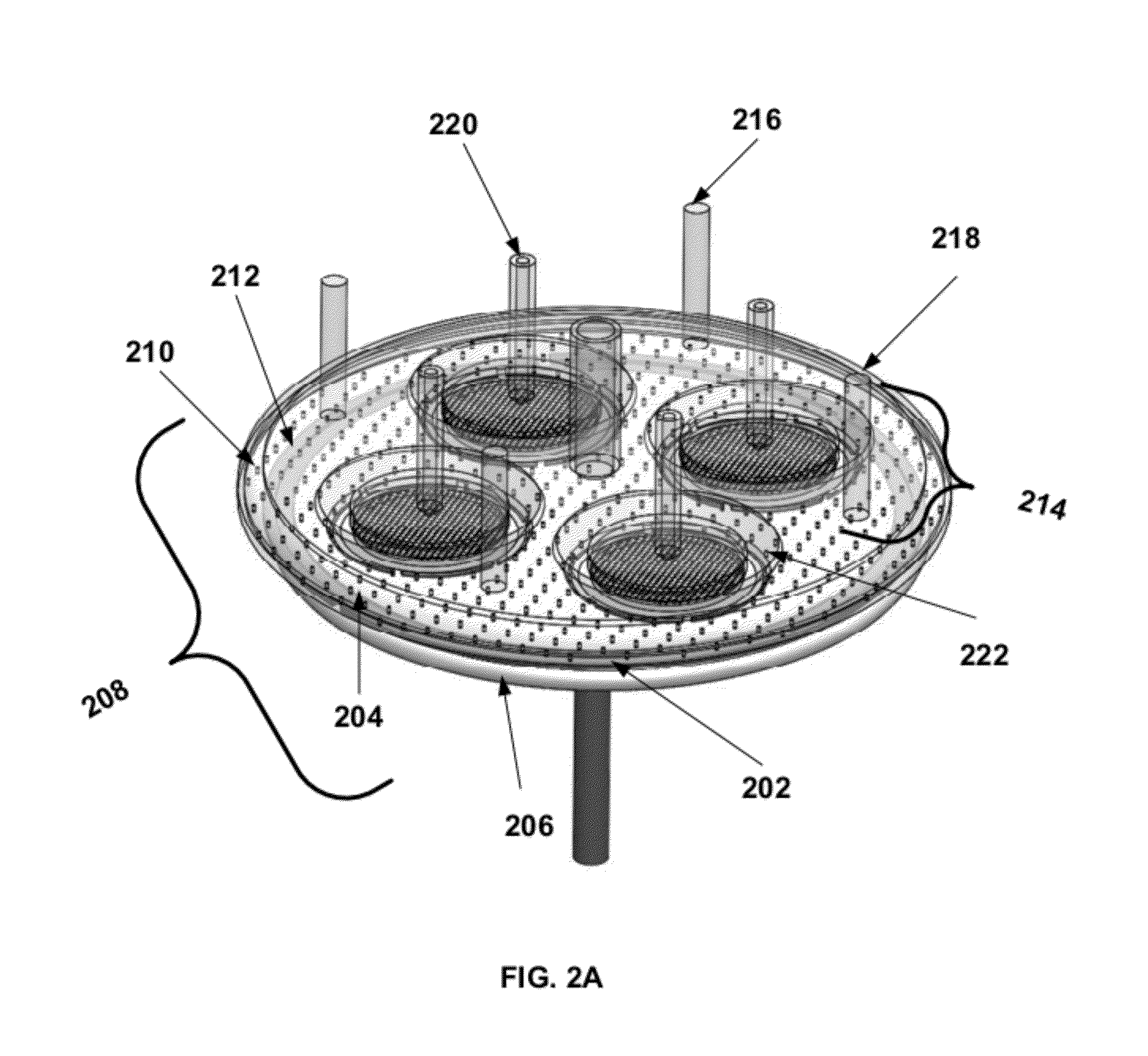 System for multi-region processing