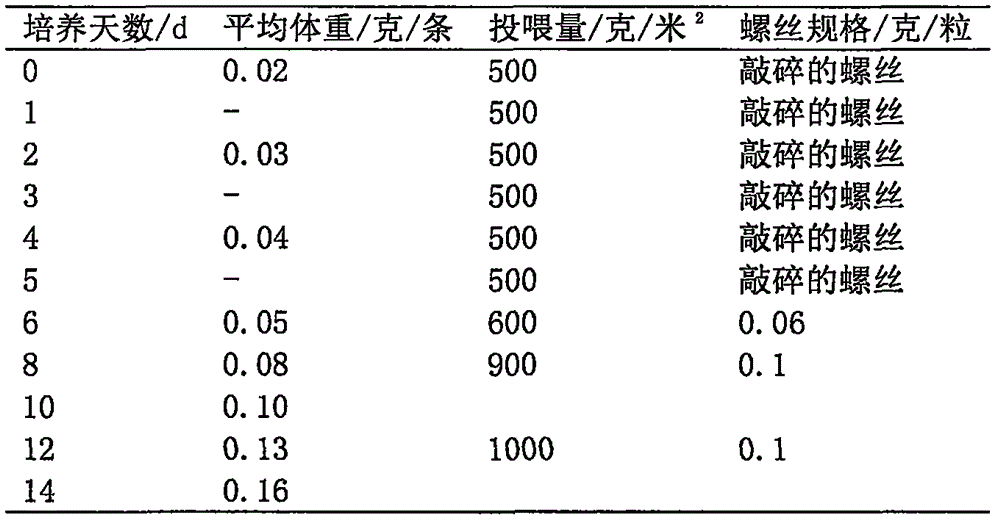 Leech fry ecological three-dimensional culture method