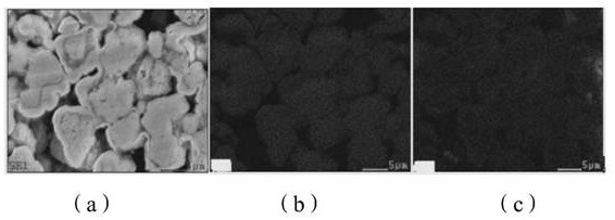 Preparation method of sample for characterizing element distribution uniformity