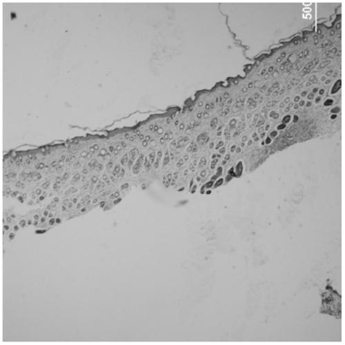 A kind of composite hydrogel, its preparation method and application