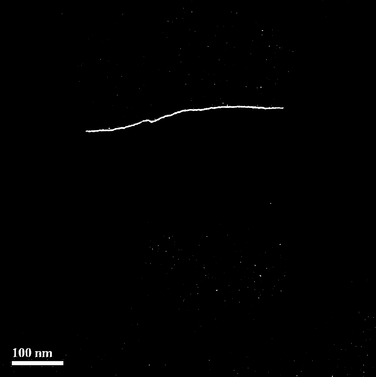 Carbon nanofiber filled with metal oxide nanoparticles and preparation method thereof