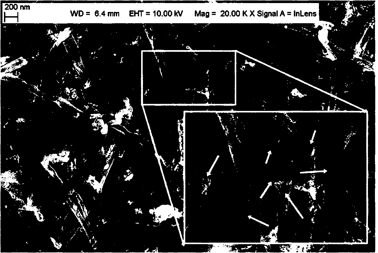 Carbon nanofiber filled with metal oxide nanoparticles and preparation method thereof