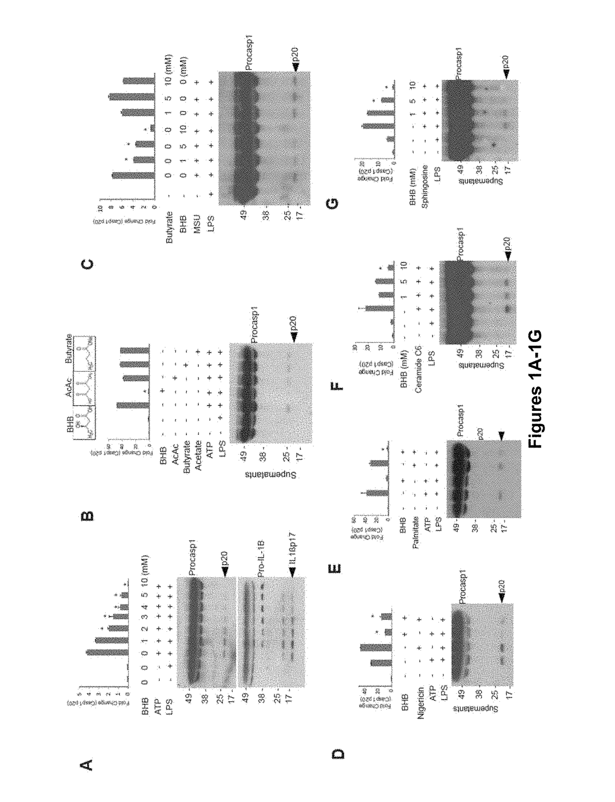 Compositions and Methods for Treating NLRP3 Inflammasome-Related Diseases and Disorders