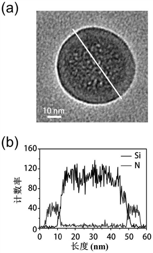 Ion-specific filter membrane/mesoporous silicon composite materials, nanosensors and their products and applications