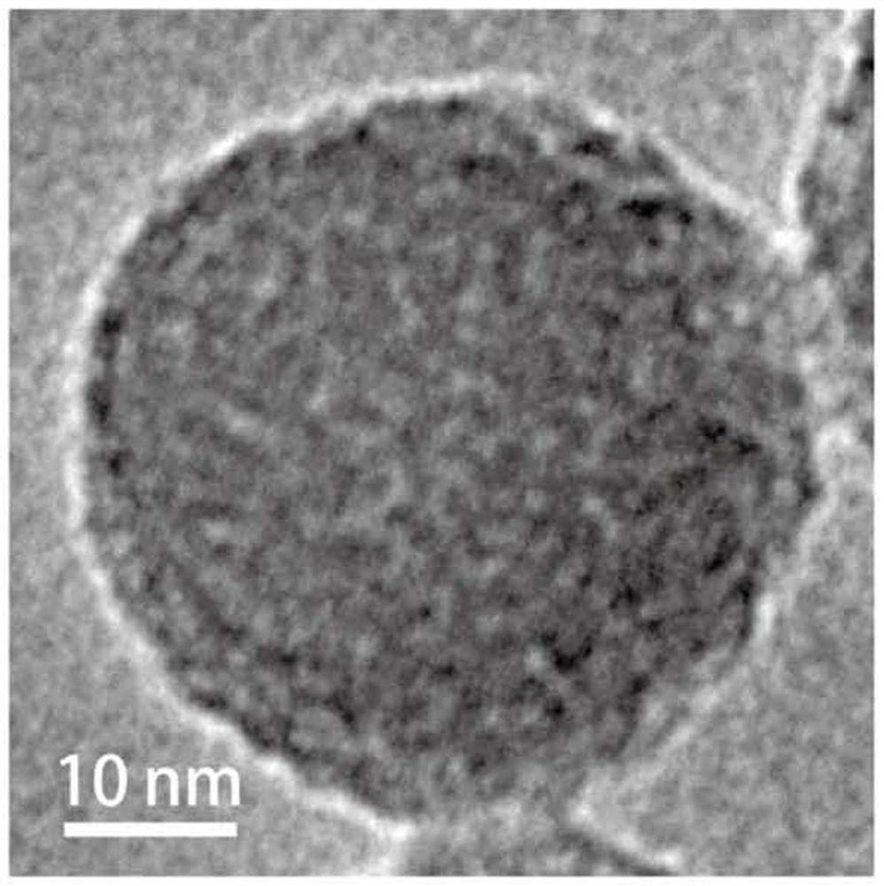 Ion-specific filter membrane/mesoporous silicon composite materials, nanosensors and their products and applications