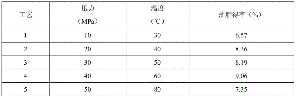 Squeezing extraction method of grease of periplaneta americana and preparation method of degreased periplaneta americana