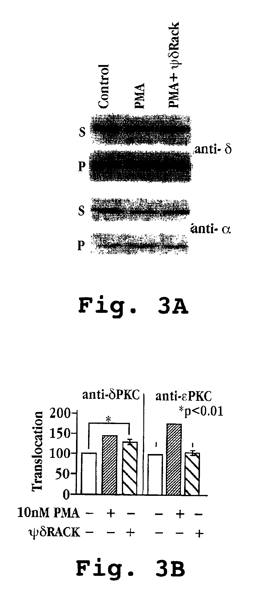 Peptides for activation and inhibition of δPKC