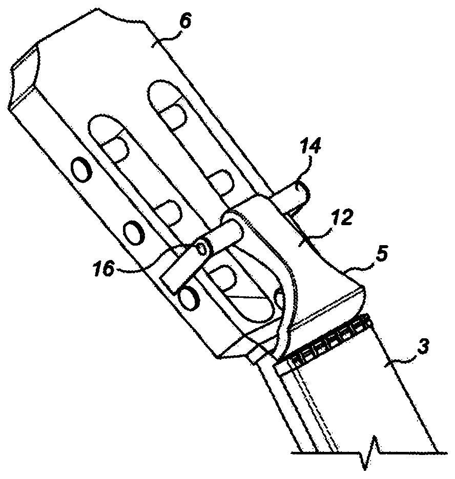 Stringed instrument