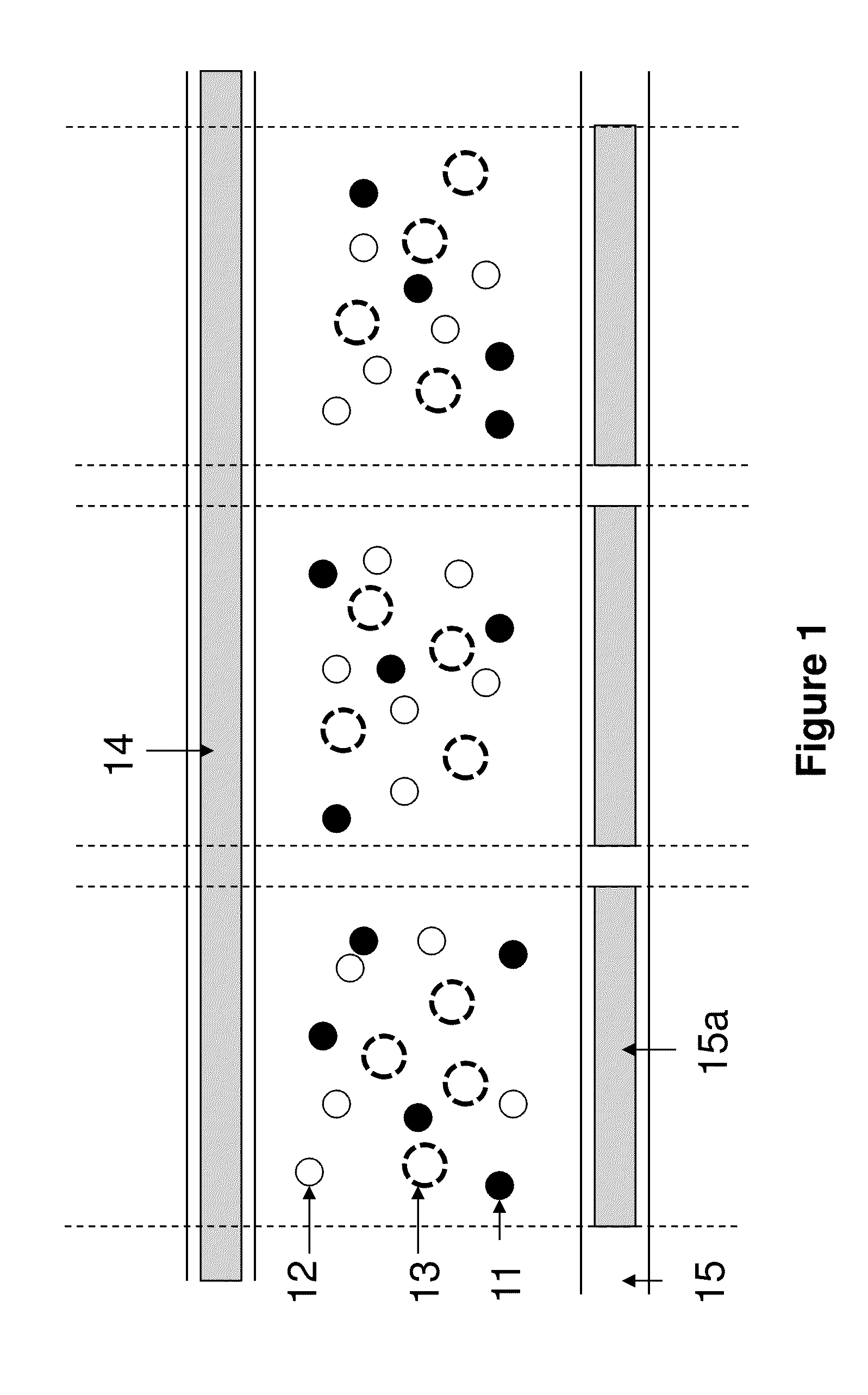 Color display device