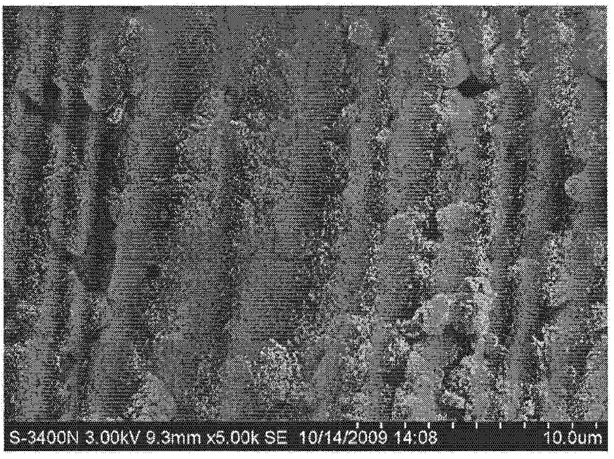 Preparation method of integral type catalyst with low content of noble metal and application thereof