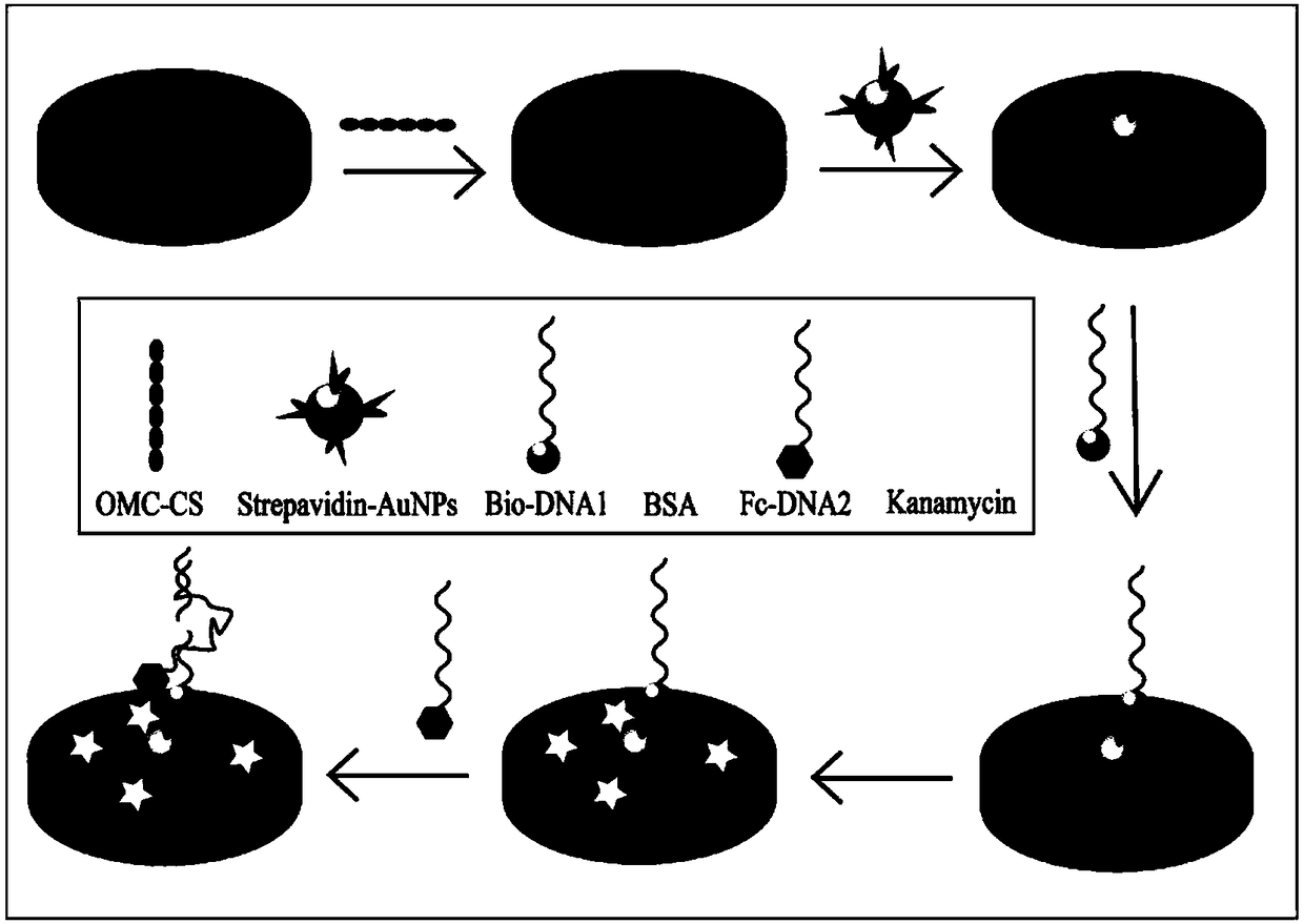 Preparation method of aptamer sensor for detecting residual kanamycin in milk