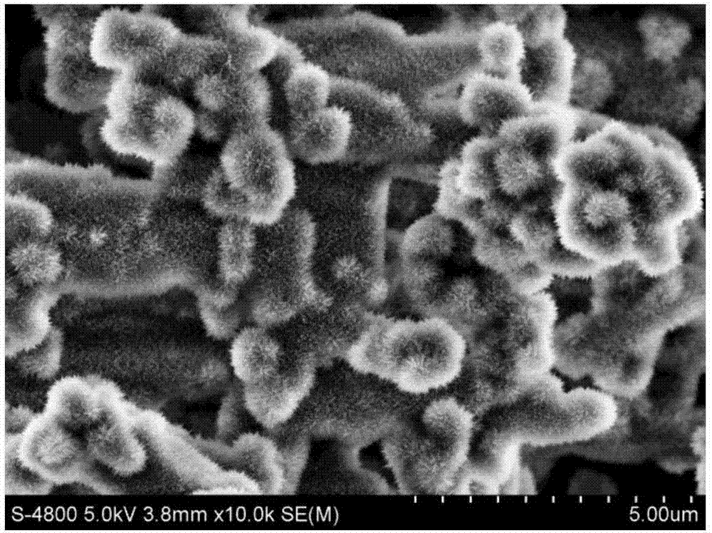 In-situ construction method and application of super-hydrophobic surface adopting micro/nano hierarchical structure