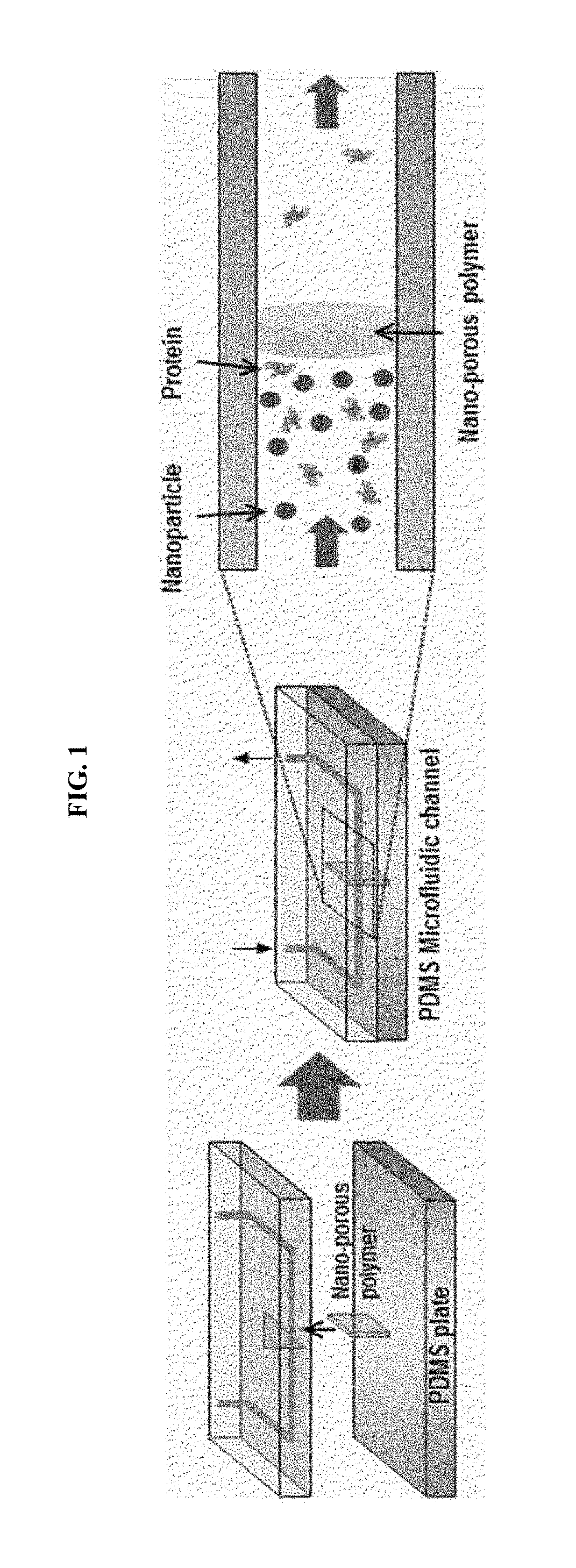 Micro nanoporous membrane, preparing method thereof and microfluidic device using thereof