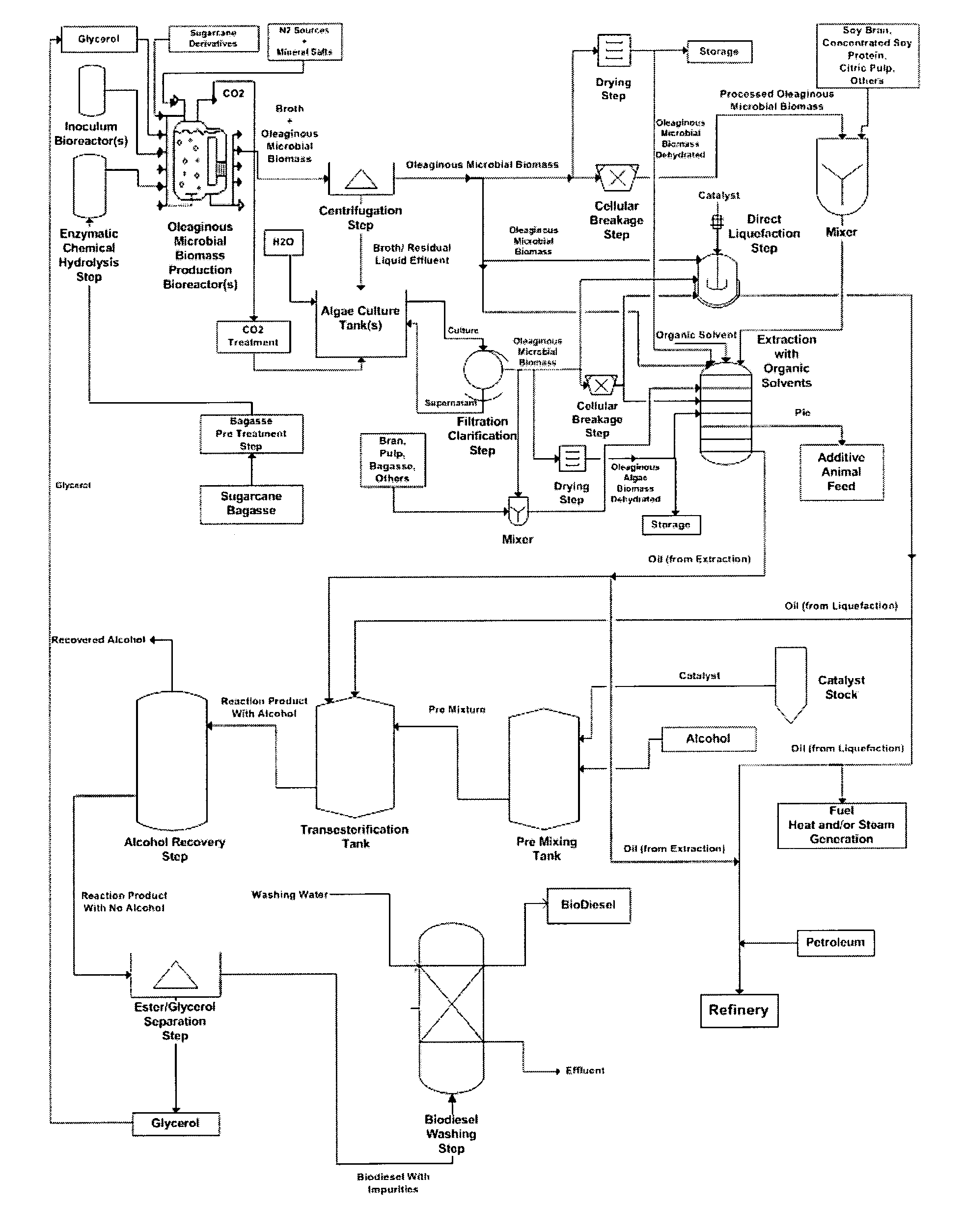 Process to produce biodiesel and/or fuel oil