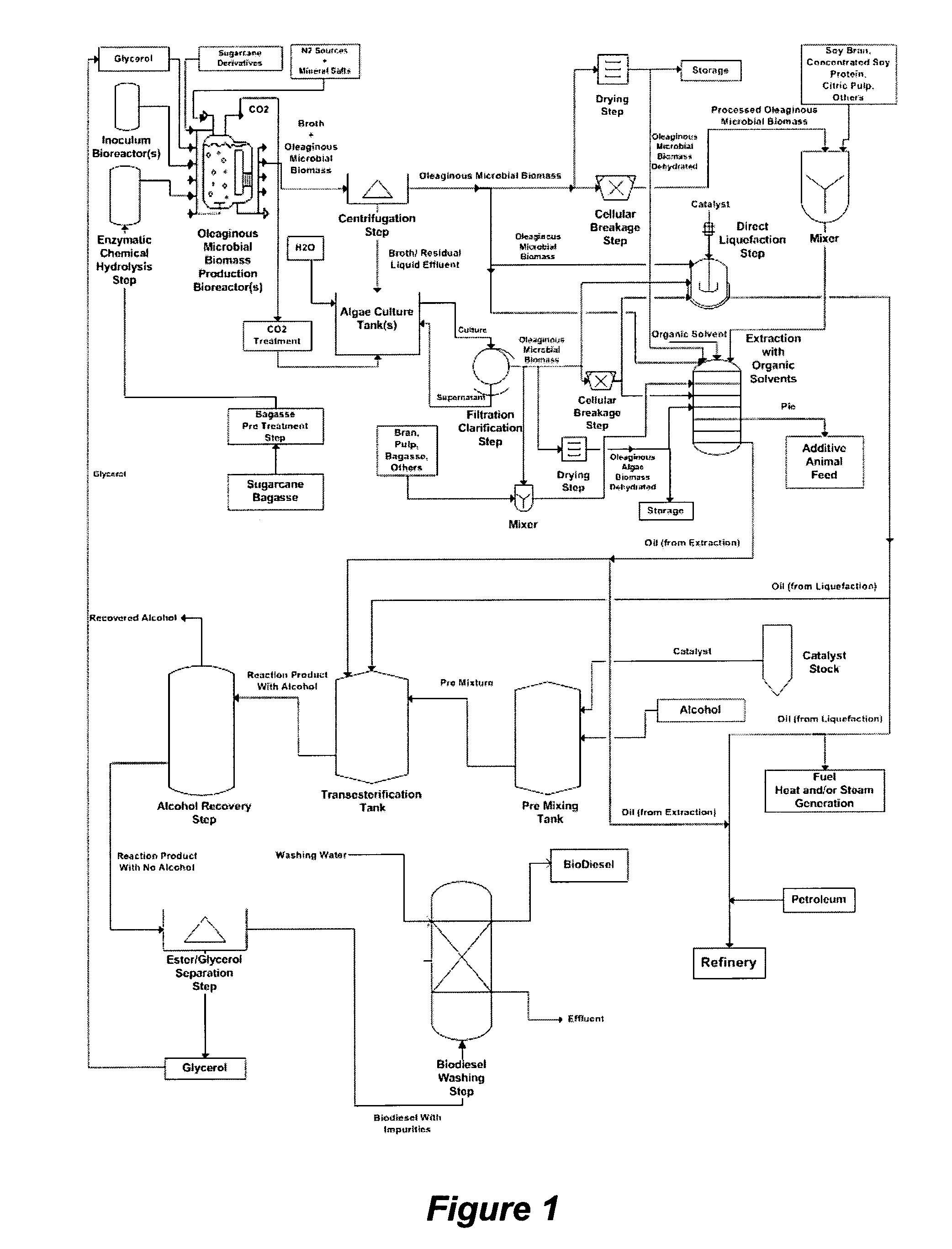 Process to produce biodiesel and/or fuel oil