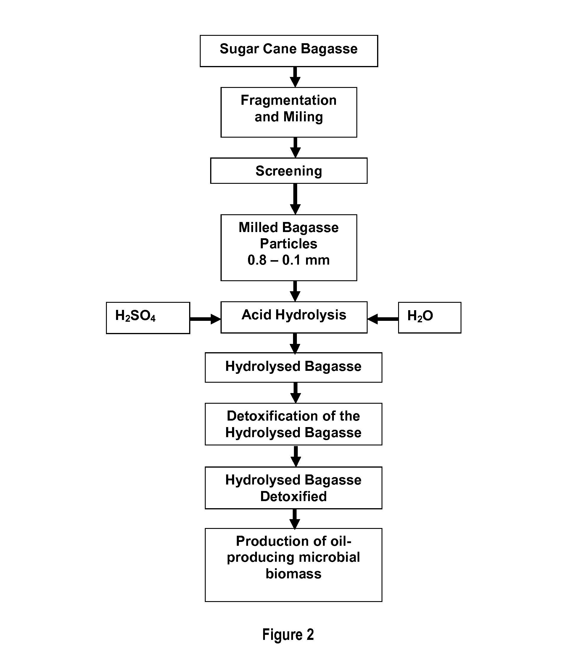 Process to produce biodiesel and/or fuel oil