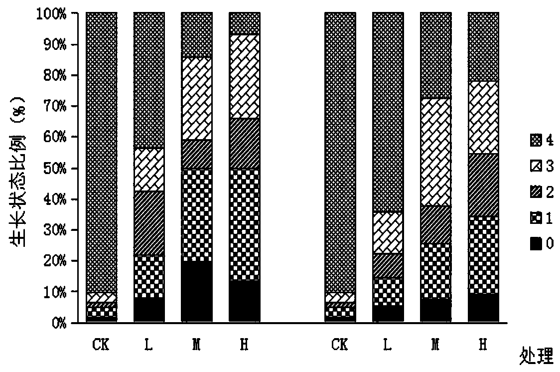 Method for controlling field broadleaf weeds in early stage of sphagnum moss planting