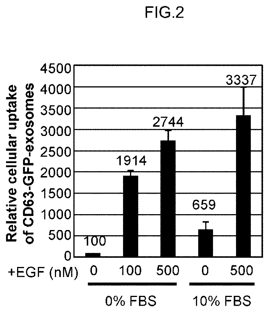 Method for introducing exogenous substance into cell, and material used in said method