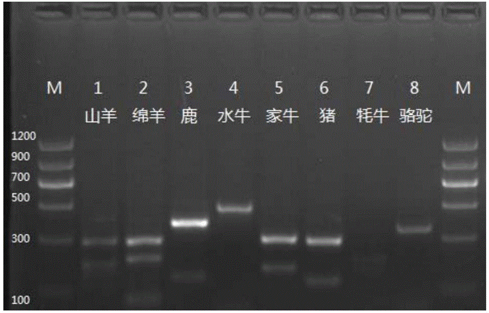 PCR method and kit for synchronously identifying animal-derived ingredients