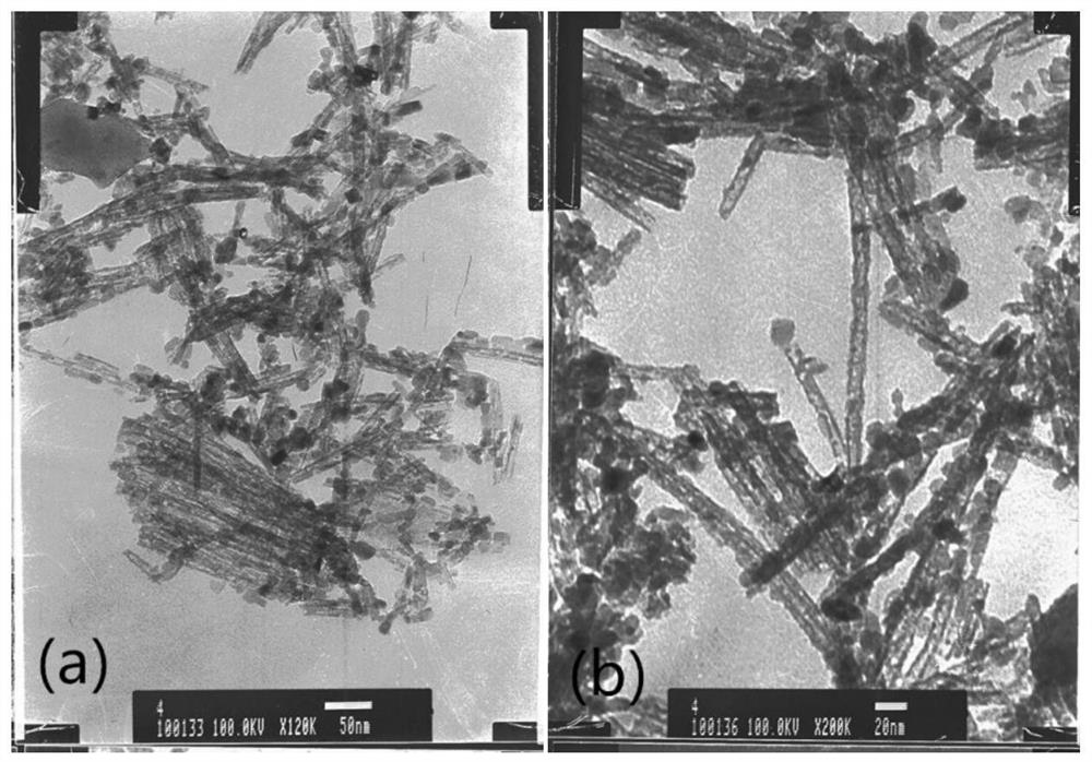 A kind of preparation method of cobalt element doped tio2 nanotube