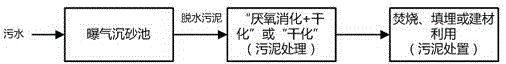 Technology for reducing and recycling treatment of sludge of sewage treatment plant