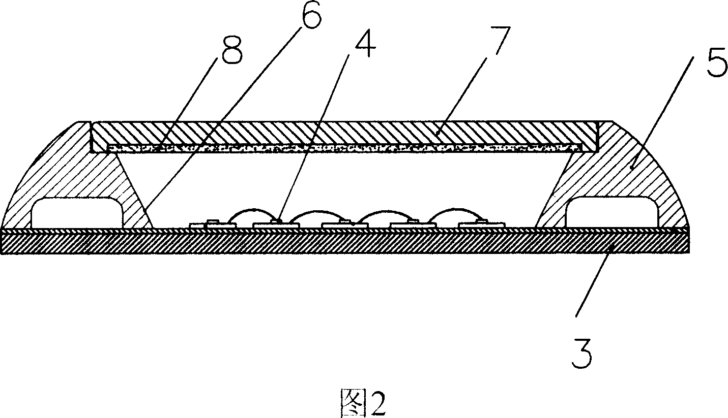 LED face light source