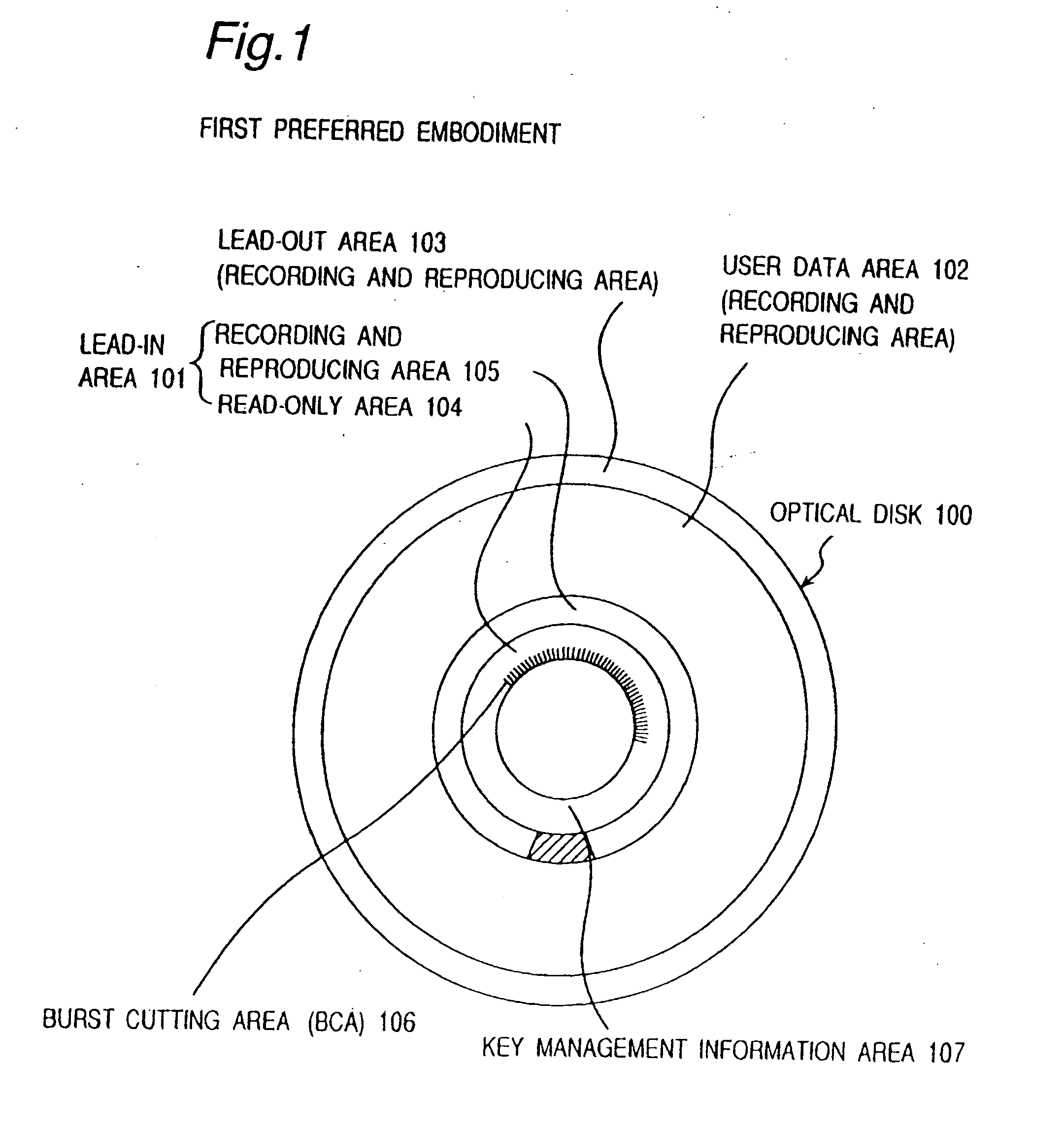 Optical disk, optical disk recording and reproducing apparatus, method for recording, reproducing and deleting data on optical disk, and information processing system