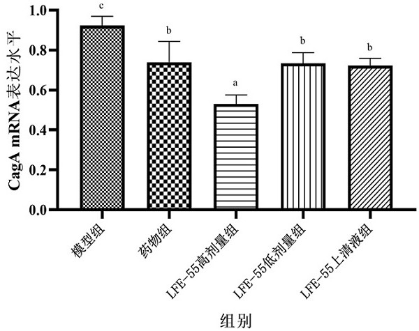 Lactobacillus fermentum for inhibiting helicobacter pylori and application thereof